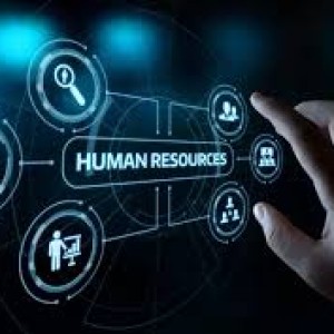 what-is-human-resource-management-roles-functions-and-best-practices